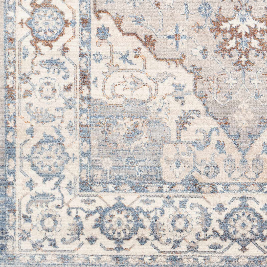 Woodbury Traditional Medallion Blue And Gray Area Rug