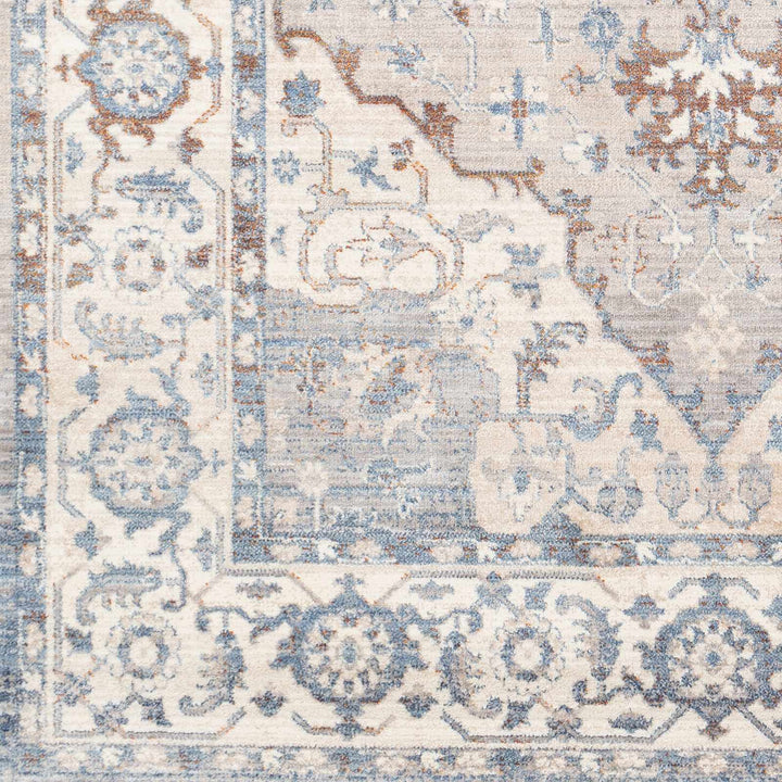Woodbury Traditional Medallion Blue And Gray Area Rug