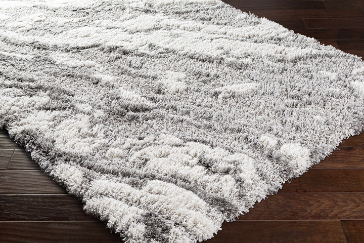 Washtucna Gray Modern Abstract Design Area Rug