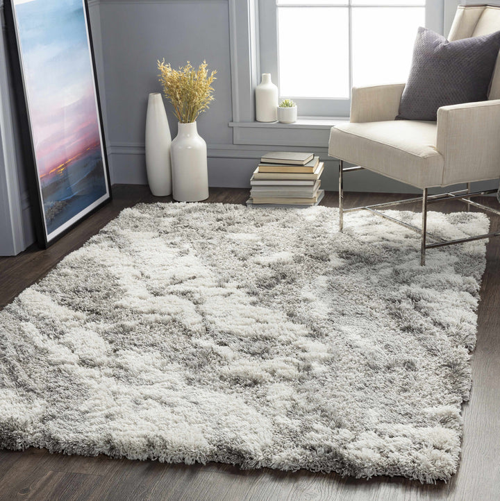Washtucna Gray Modern Abstract Design Area Rug