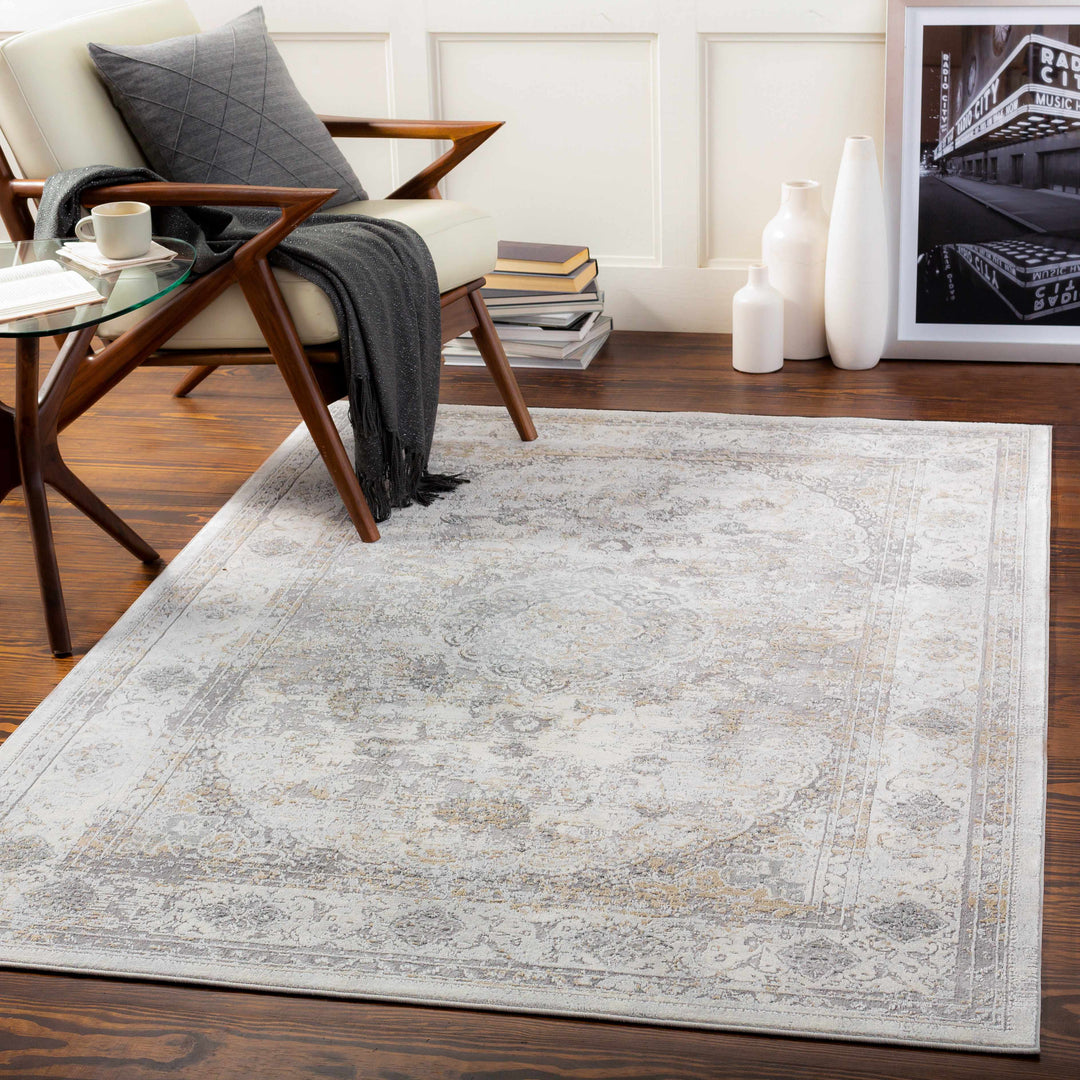 Withams Gray Traditional Style Area Rug