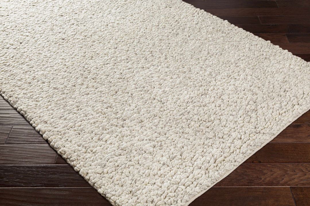 Wurtland Modern Style Beige Hand Woven Wool Area Rug