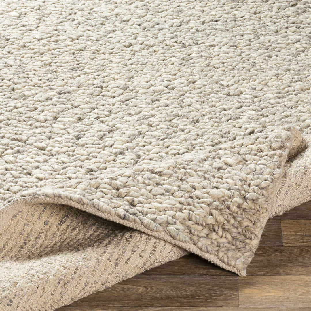 Wurtland Modern Style Beige Hand Woven Wool Area Rug