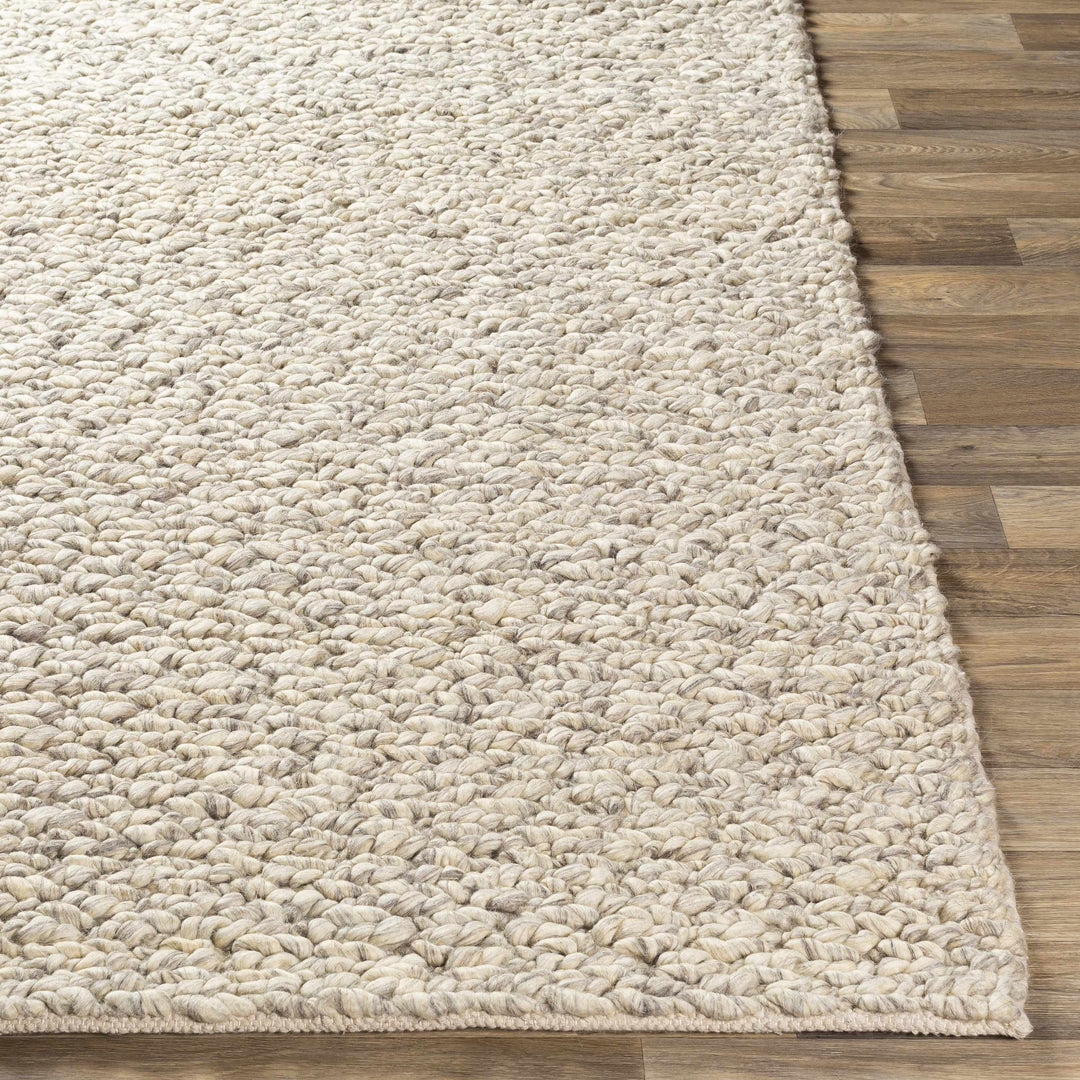 Wurtland Modern Style Beige Hand Woven Wool Area Rug