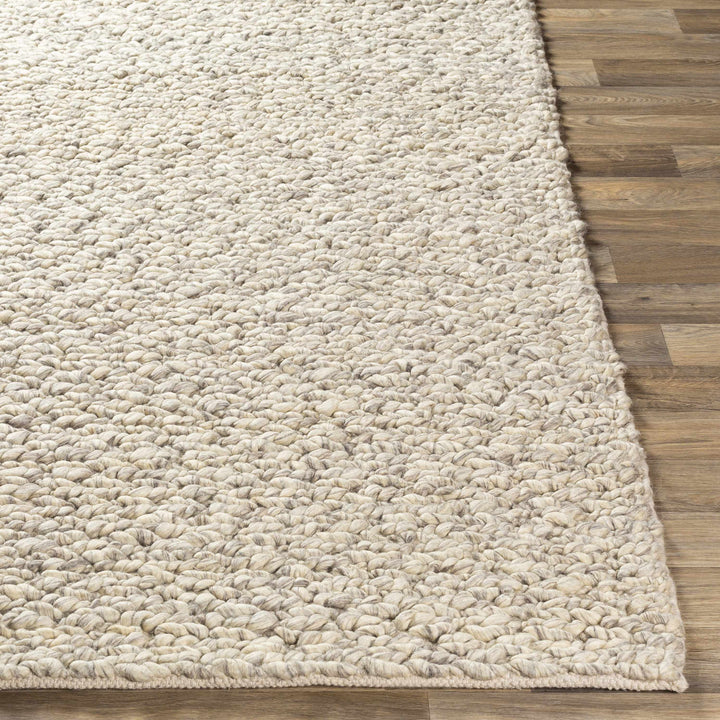 Wurtland Modern Style Beige Hand Woven Wool Area Rug