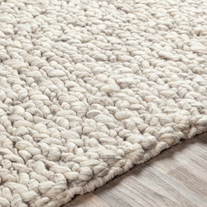 Wurtland Modern Style Beige Hand Woven Wool Area Rug