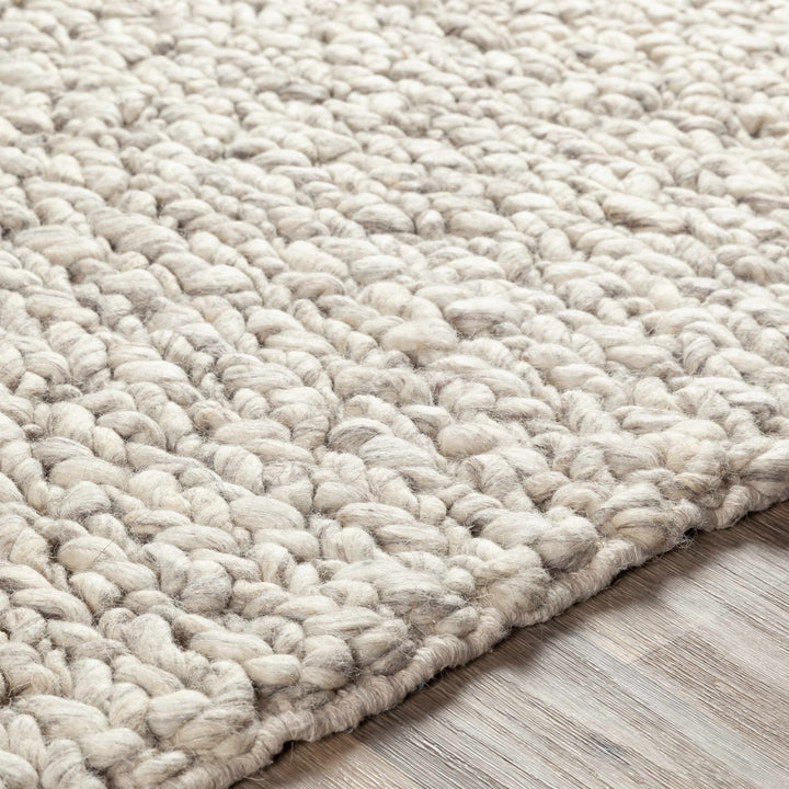 Wurtland Modern Style Beige Hand Woven Wool Area Rug - The Rug Decor