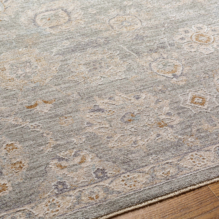 Wurtulla Gray And Beige Traditional Floral Design Rug