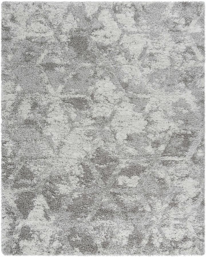 Wynantskill Gray And Ivory Modern Abstract Design Rug