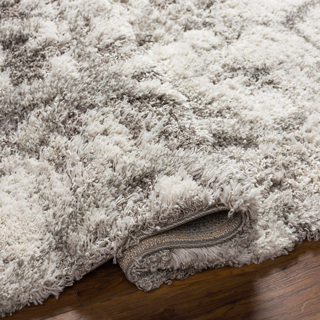 Wynantskill Gray And Ivory Modern Abstract Design Rug