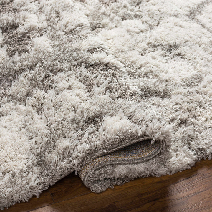 Wynantskill Gray And Ivory Modern Abstract Design Rug