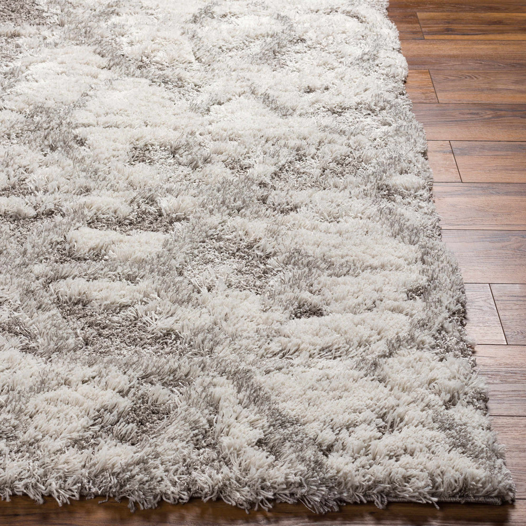 Wynantskill Gray And Ivory Modern Abstract Design Rug