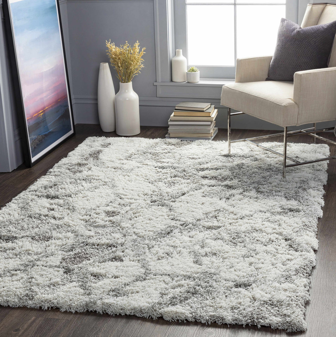 Wynantskill Gray And Ivory Modern Abstract Design Rug