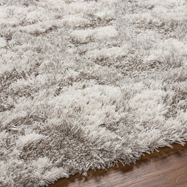 Wynantskill Gray And Ivory Modern Abstract Design Rug
