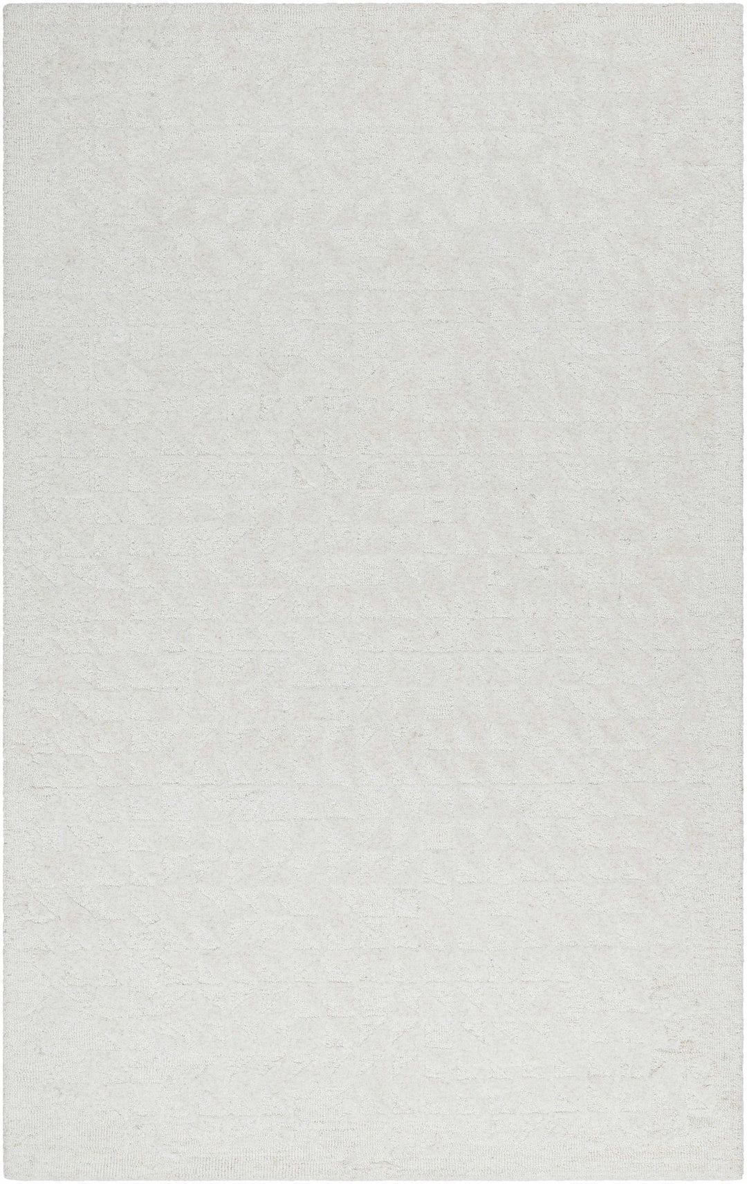 Xenon Contemporary Style Ivory Hand Tufted Area Rug - The Rug Decor