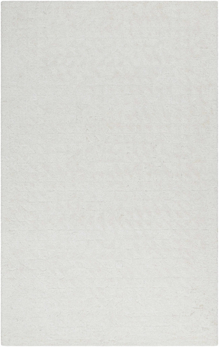 Xenon Contemporary Style Ivory Hand Tufted Area Rug - The Rug Decor