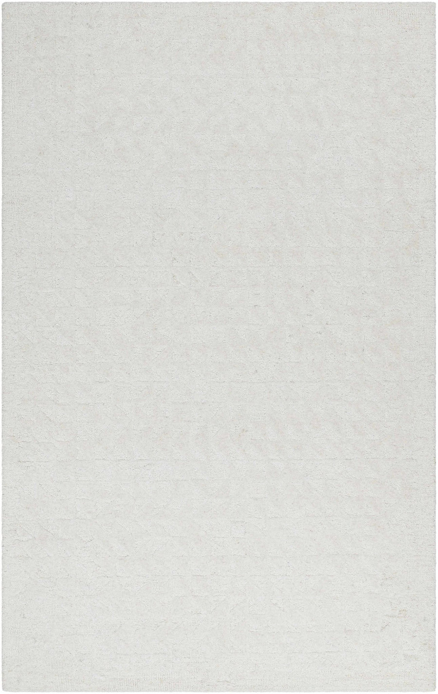 Xenon Contemporary Style Ivory Hand Tufted Area Rug - The Rug Decor