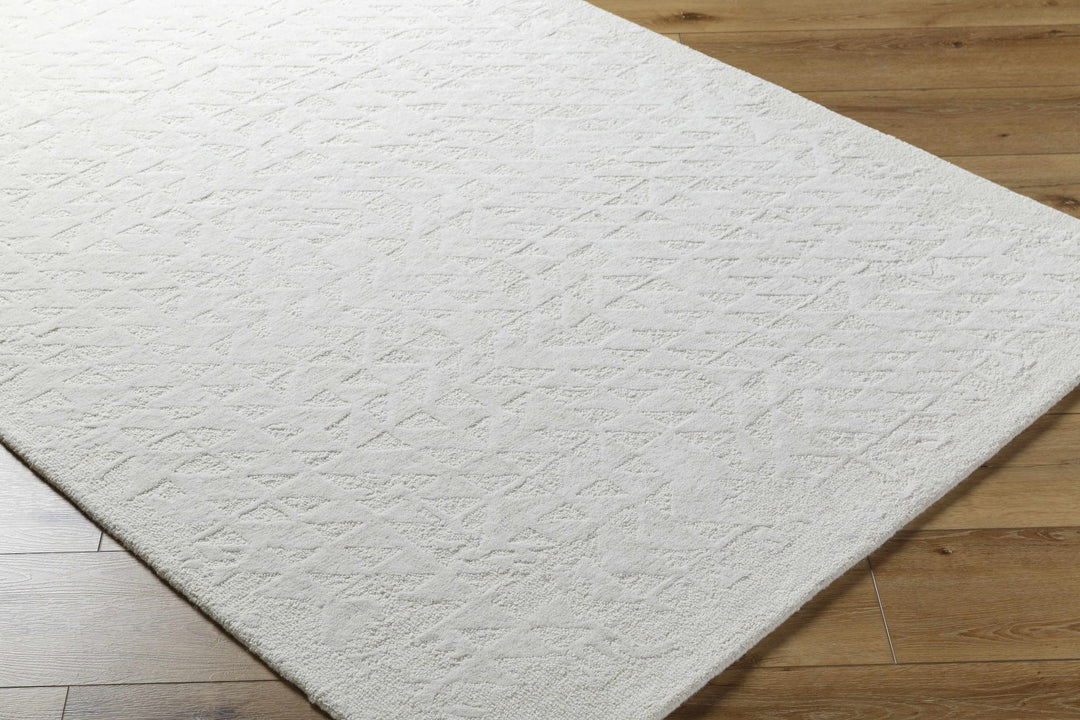 Xenon Contemporary Style Ivory Hand Tufted Area Rug - The Rug Decor