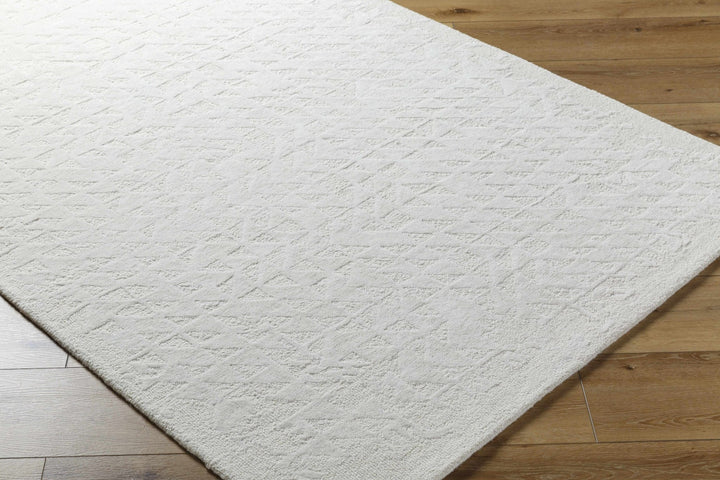 Xenon Contemporary Style Ivory Hand Tufted Area Rug - The Rug Decor