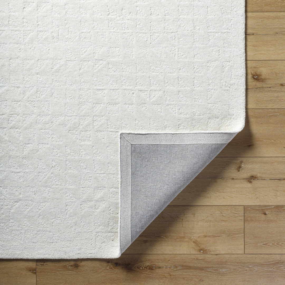 Xenon Contemporary Style Ivory Hand Tufted Area Rug - The Rug Decor