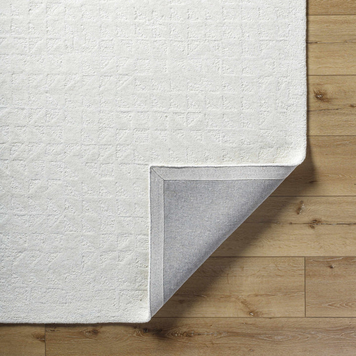 Xenon Contemporary Style Ivory Hand Tufted Area Rug - The Rug Decor