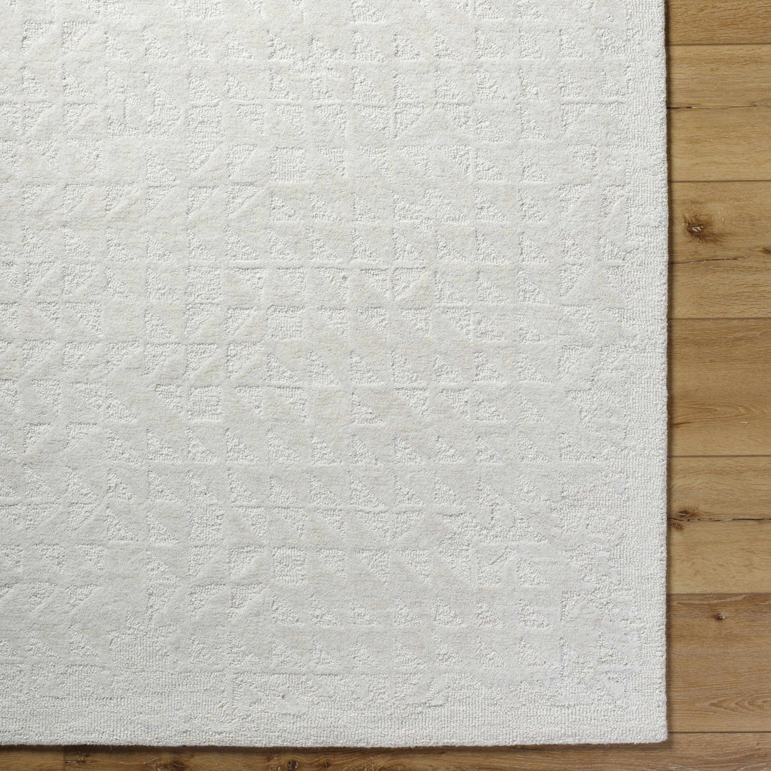Xenon Contemporary Style Ivory Hand Tufted Area Rug - The Rug Decor