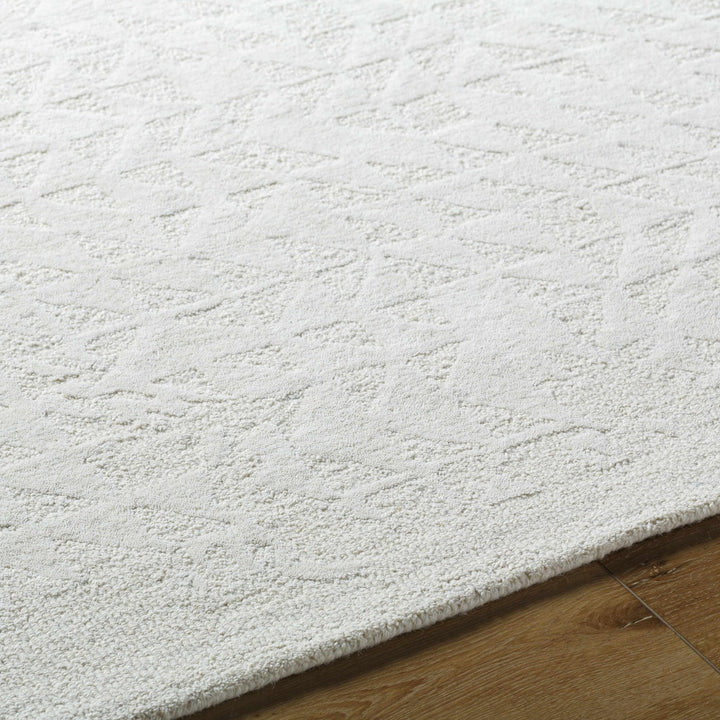 Xenon Contemporary Style Ivory Hand Tufted Area Rug - The Rug Decor