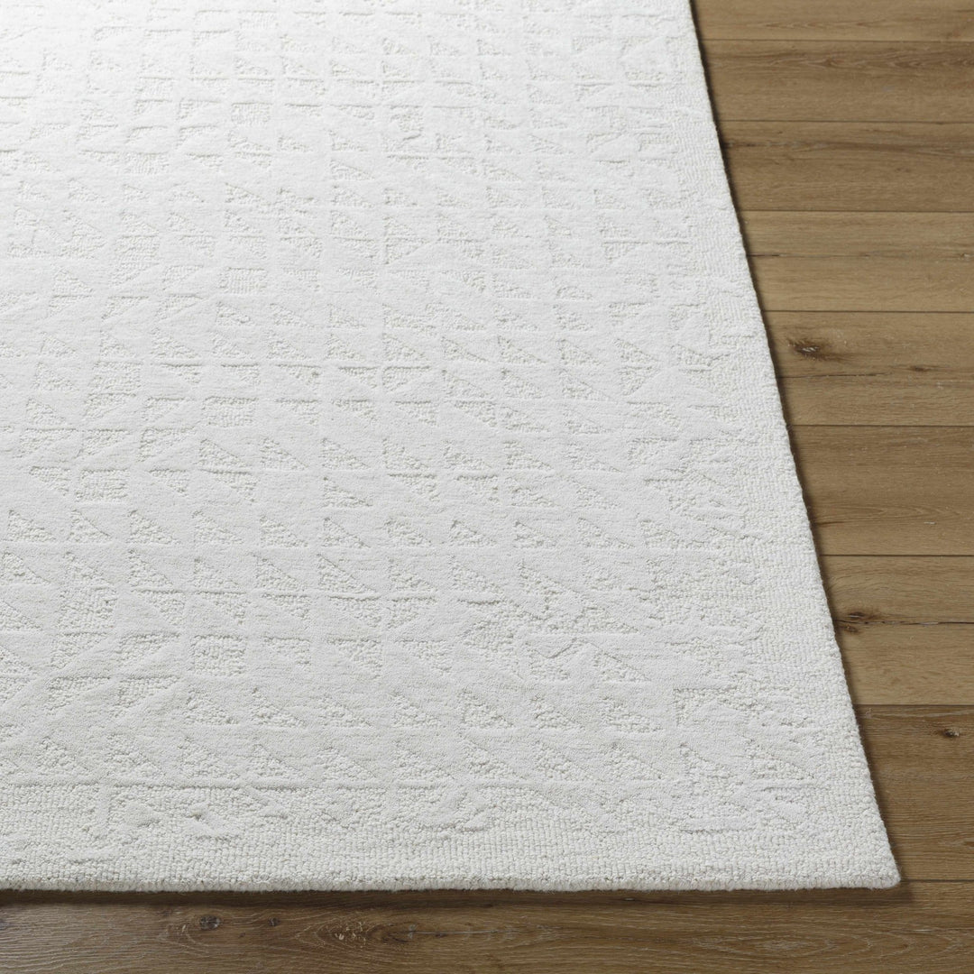 Xenon Contemporary Style Ivory Hand Tufted Area Rug - The Rug Decor
