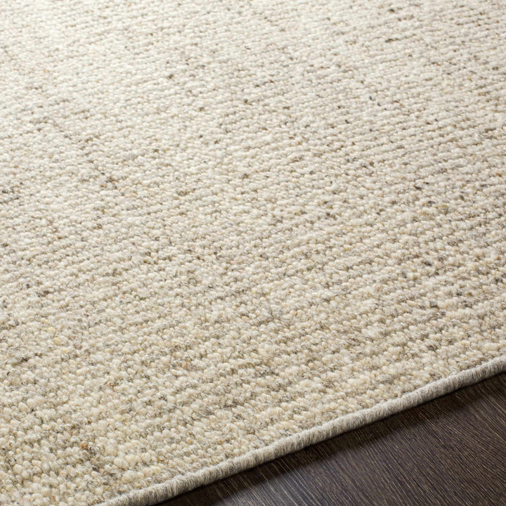 Yaniklar Transitional Design Beige Hand Woven Wool Rug - The Rug Decor