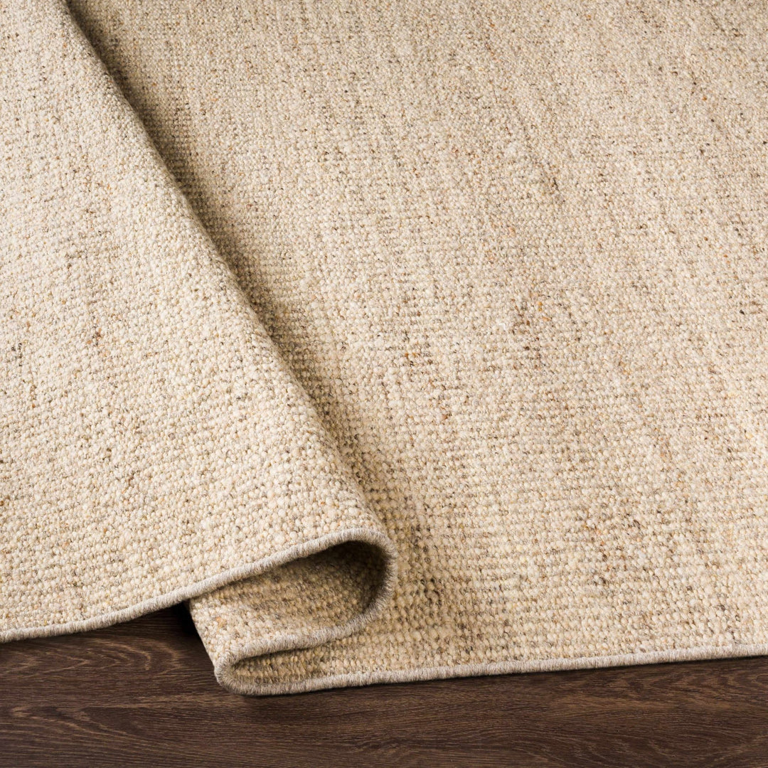 Yaniklar Transitional Design Beige Hand Woven Wool Rug - The Rug Decor