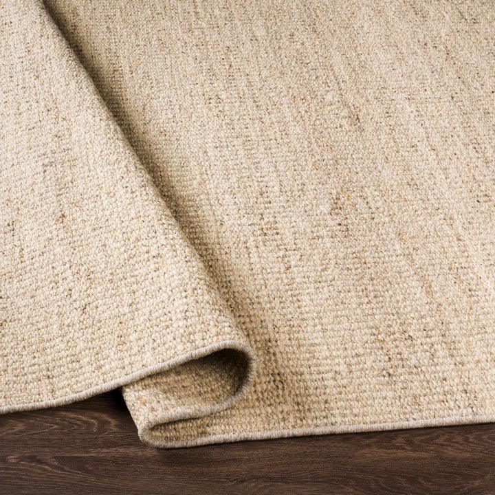 Yaniklar Transitional Design Beige Hand Woven Wool Rug - The Rug Decor