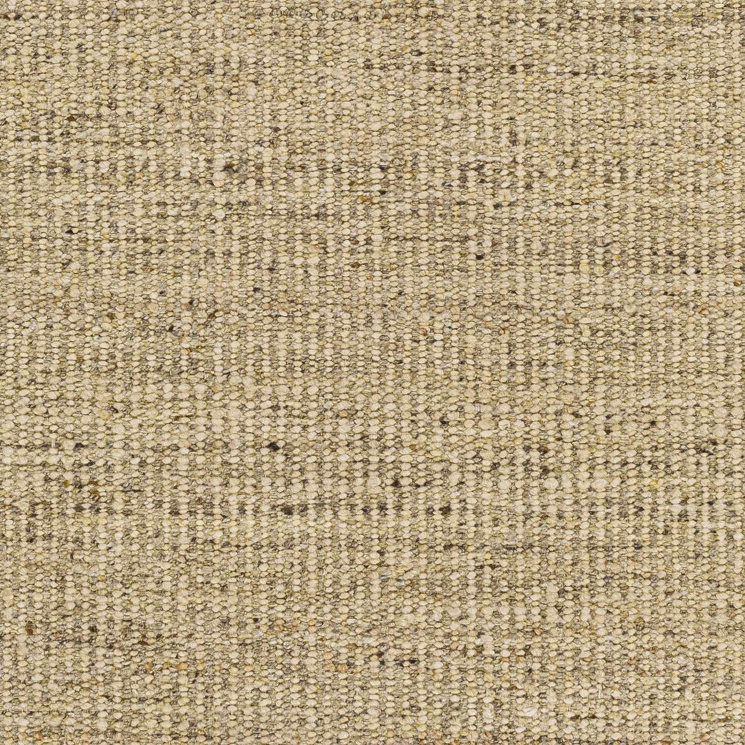 Yaniklar Transitional Design Beige Hand Woven Wool Rug - The Rug Decor