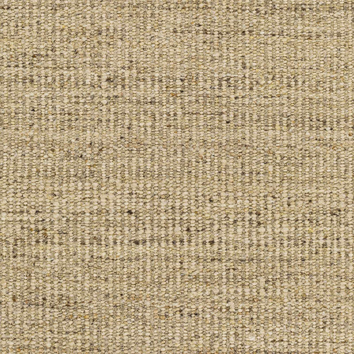 Yaniklar Transitional Design Beige Hand Woven Wool Rug - The Rug Decor