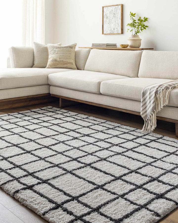 Yaotl Contemporary Checkered Pattern Black Hand Tufted Area Rug - The Rug Decor