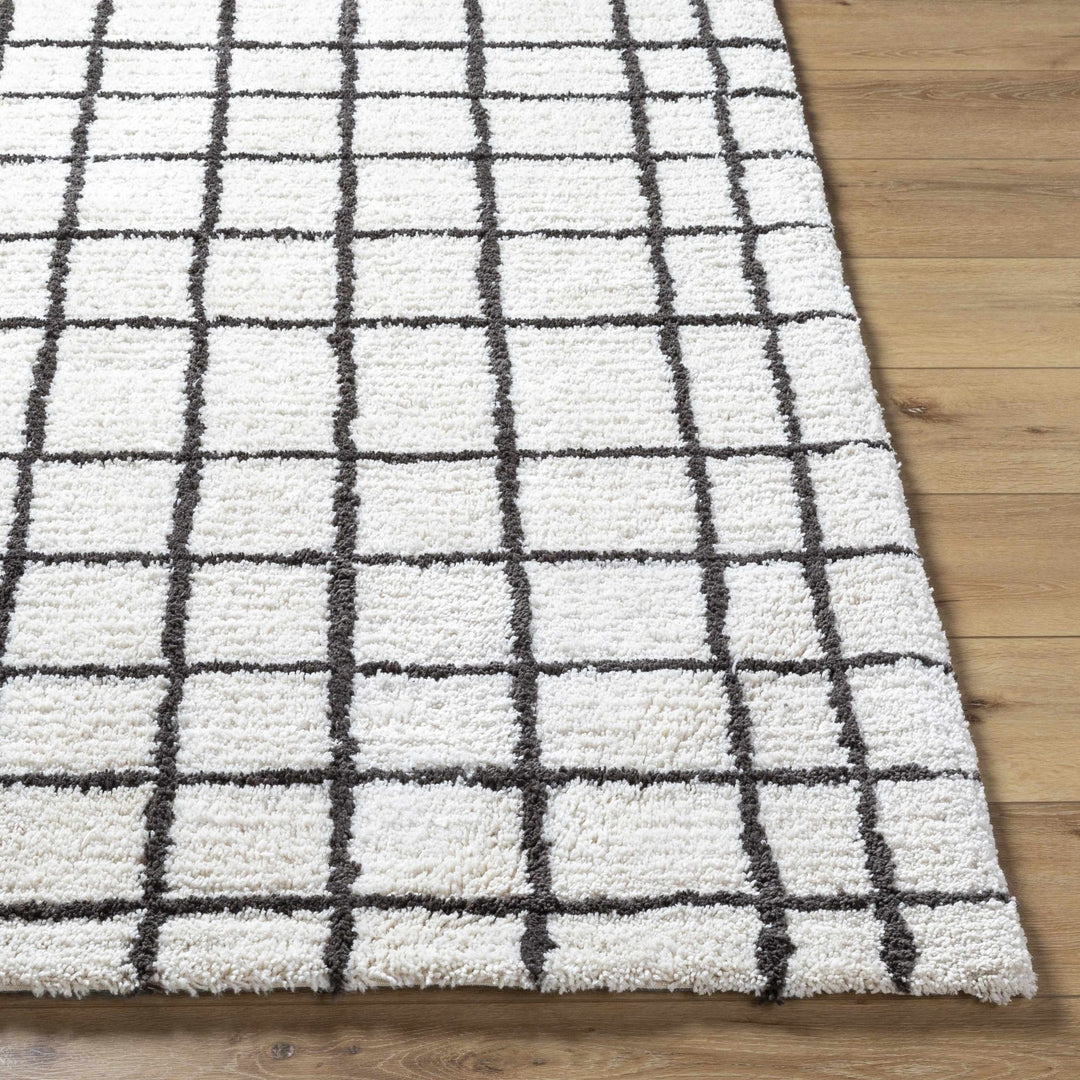Yaotl Contemporary Checkered Pattern Black Hand Tufted Area Rug - The Rug Decor