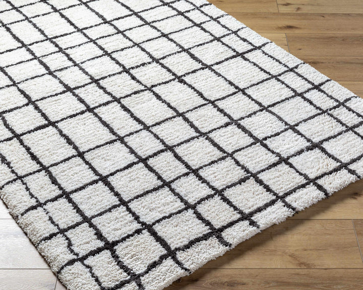 Yaotl Contemporary Checkered Pattern Black Hand Tufted Area Rug - The Rug Decor