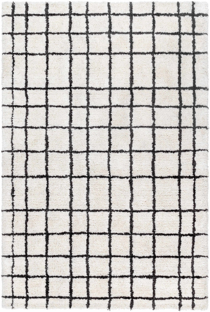 Yaotl Contemporary Checkered Pattern Black Hand Tufted Area Rug - The Rug Decor
