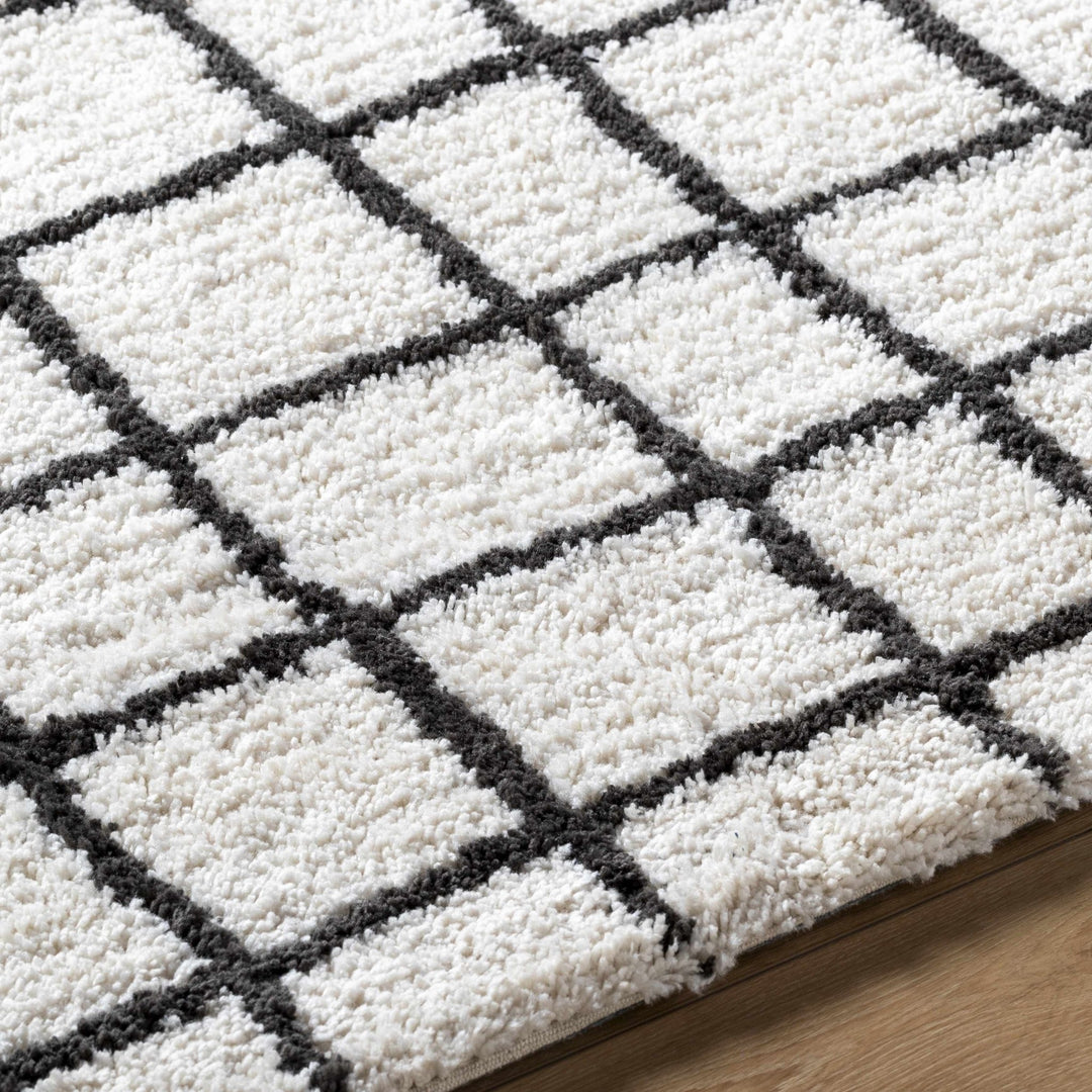 Yaotl Contemporary Checkered Pattern Black Hand Tufted Area Rug - The Rug Decor