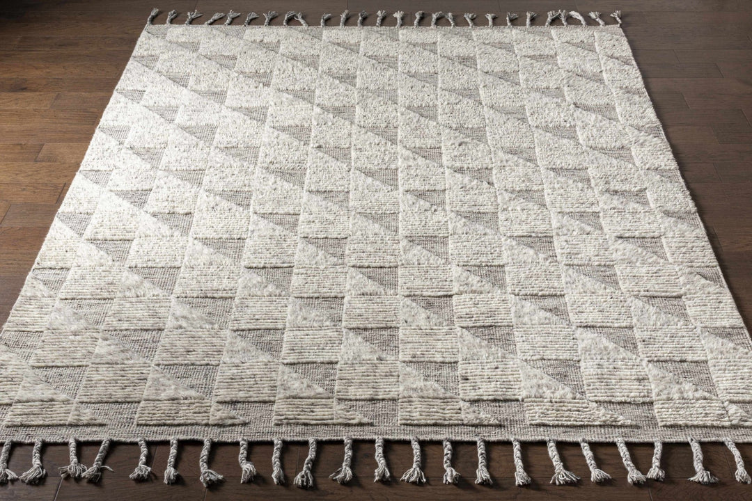 Yarravel Beige Modern Geometrical Design Hand Knotted Area Rug - The Rug Decor