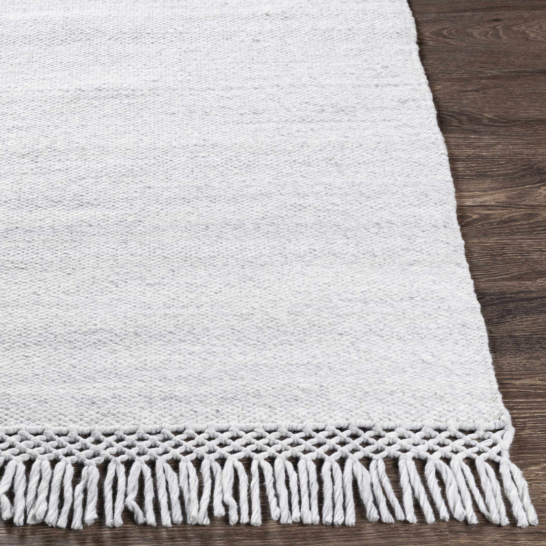 Yokine Gray Modern Style Hand Woven Area Rug