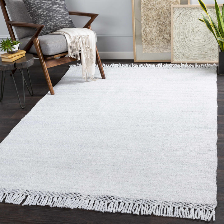 Yokine Gray Modern Style Hand Woven Area Rug