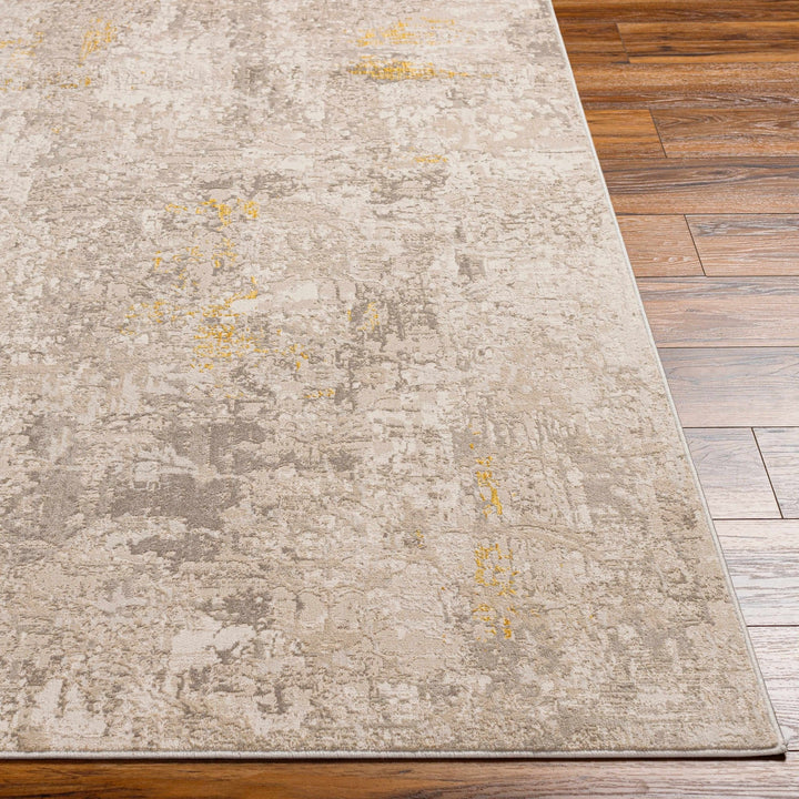 Yuji Contemporary Abstract Beige And Gray Area Rug - The Rug Decor