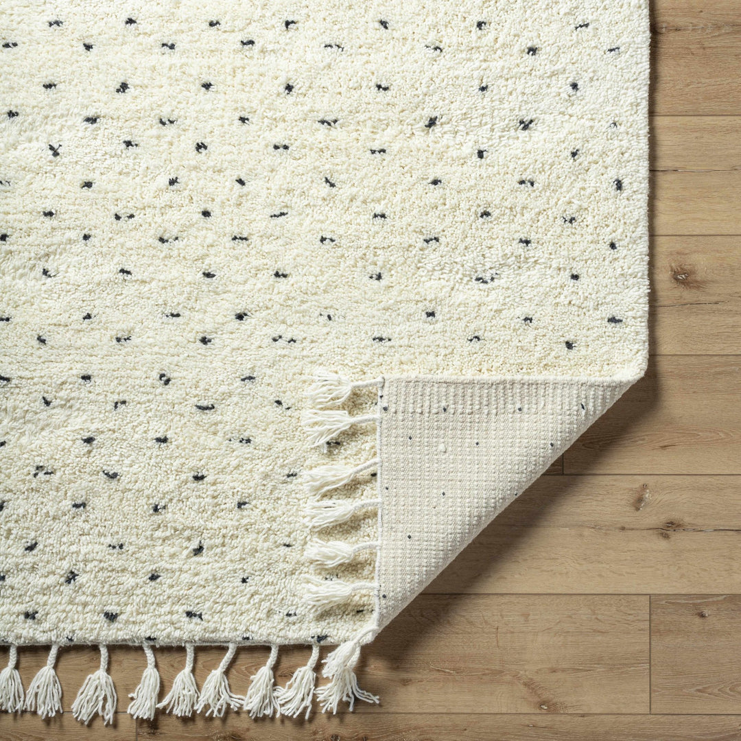 Yuuna Ivory Modern Style Hand Woven Wool Area Rug - The Rug Decor