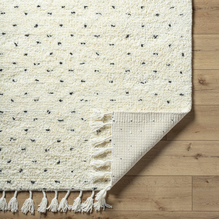 Yuuna Ivory Modern Style Hand Woven Wool Area Rug - The Rug Decor