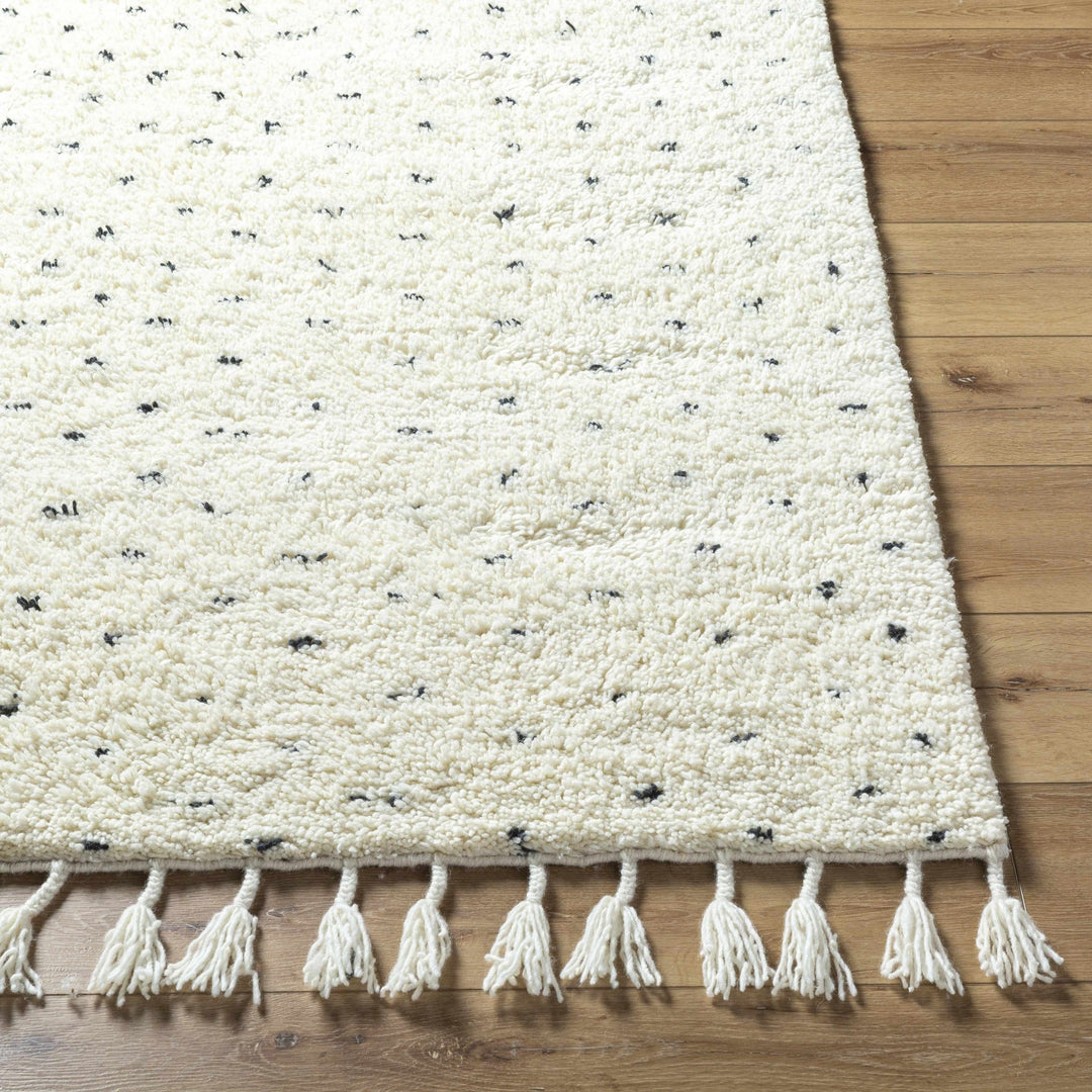Yuuna Ivory Modern Style Hand Woven Wool Area Rug - The Rug Decor