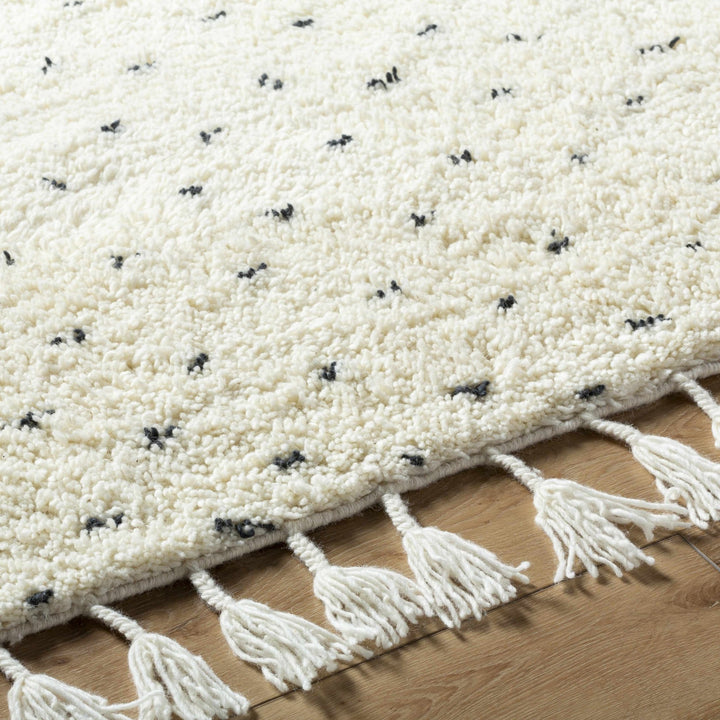 Yuuna Ivory Modern Style Hand Woven Wool Area Rug - The Rug Decor