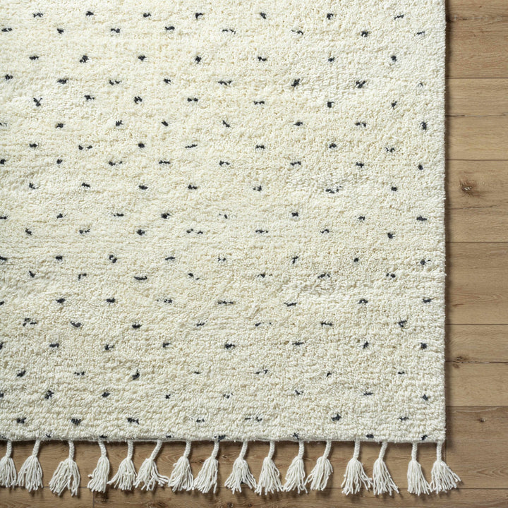 Yuuna Ivory Modern Style Hand Woven Wool Area Rug - The Rug Decor
