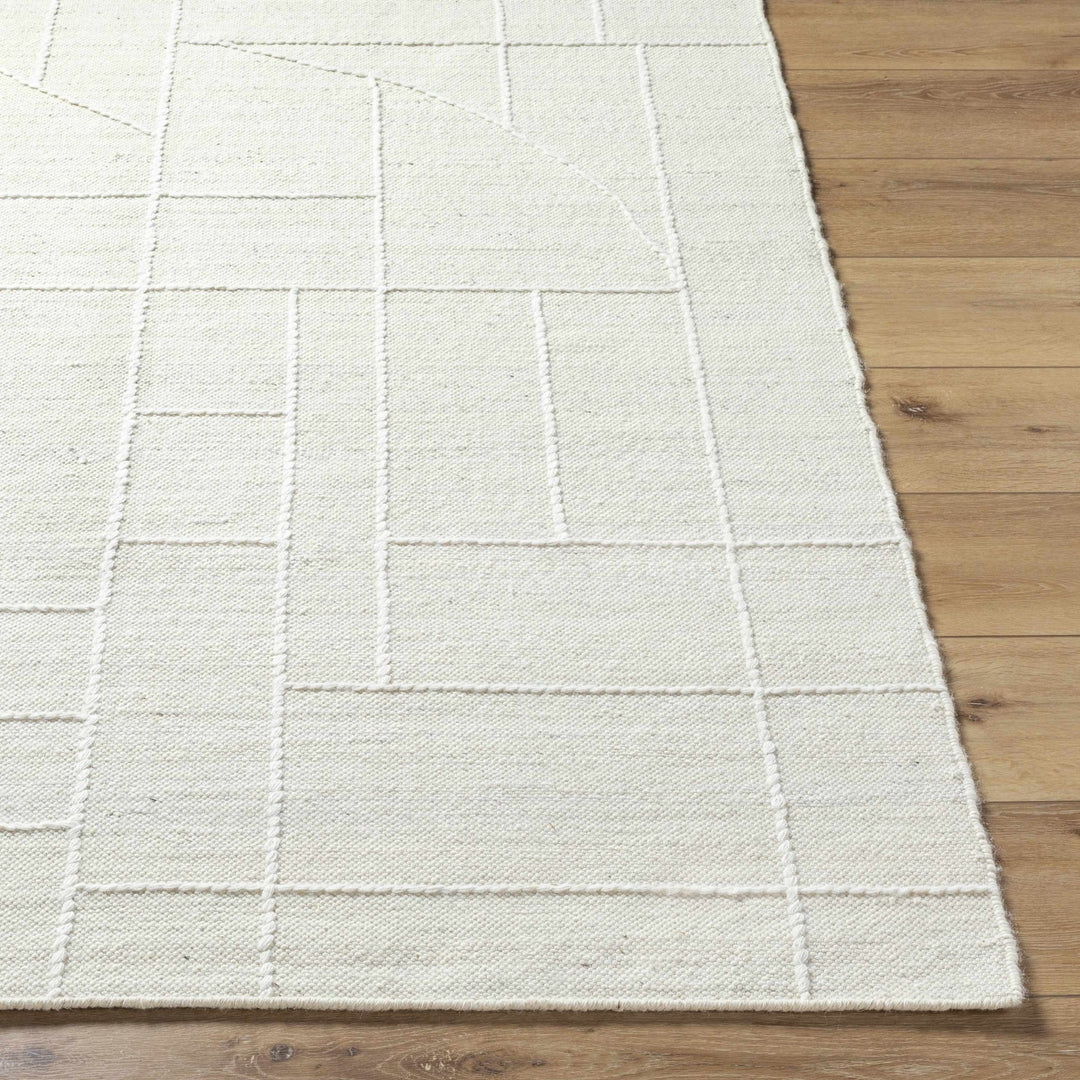 Yvian Contemporary Style Ivory Hand Woven Wool Rug - The Rug Decor