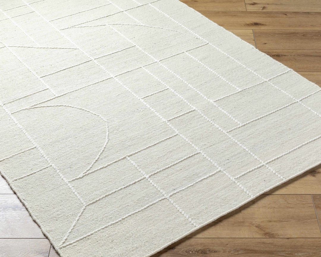 Yvian Contemporary Style Ivory Hand Woven Wool Rug - The Rug Decor