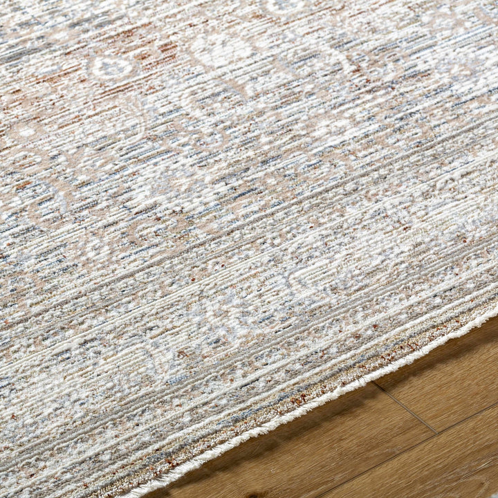 Zabby Traditional Style Rust And Ivory Area Rug - The Rug Decor